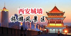 在线播放舔少妇肉穴中国陕西-西安城墙旅游风景区