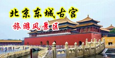 谁操我的大骚逼啊啊啊啊中国北京-东城古宫旅游风景区